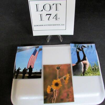 3 Small Photo Magnets by Fond du Lac Professional Photographer and Artist Aileen Andrews