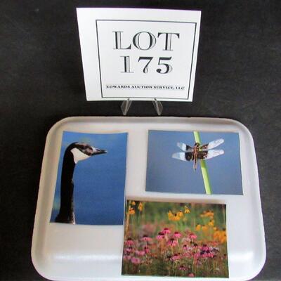 3 Small Photo Magnets by Professional Photographer and Artist Aileen Andrews of Fond du Lac