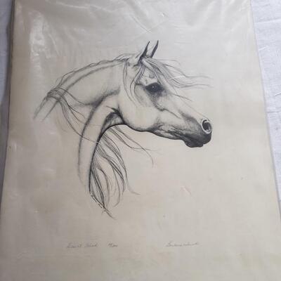 Horse drawing numbered of 200