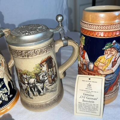 German Beersteins - Huge Lot