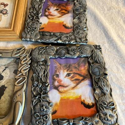 Cat Photo/ Decoration Lot (7)