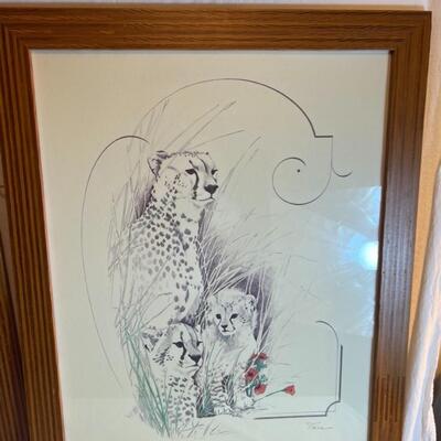 2 Turner Framed Tiger Prints