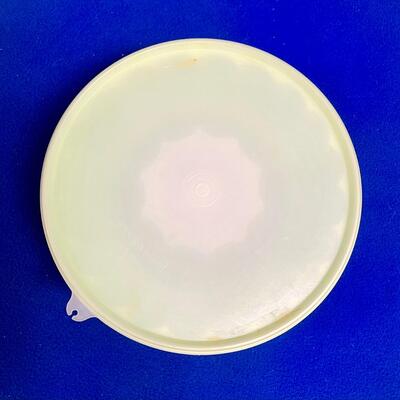 Vintage Pale Green Jello Mold Tupperware Container