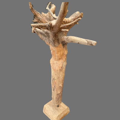 New Orleans Wood Artist depiction of Medusa - 27"