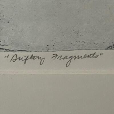 D. Quist 80' "Drifting Fragments" signed