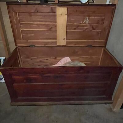 Large cedar trunk