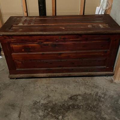 Large cedar trunk