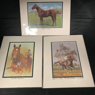 HORSE RACING PICTURES