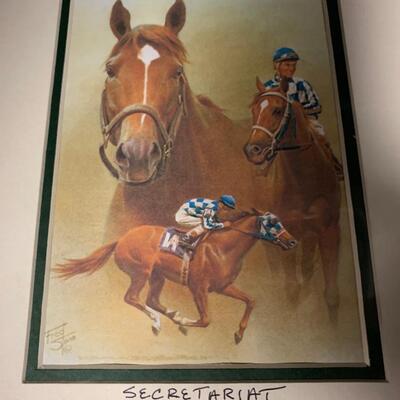 HORSE RACING PICTURES