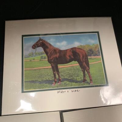 HORSE RACING PICTURES