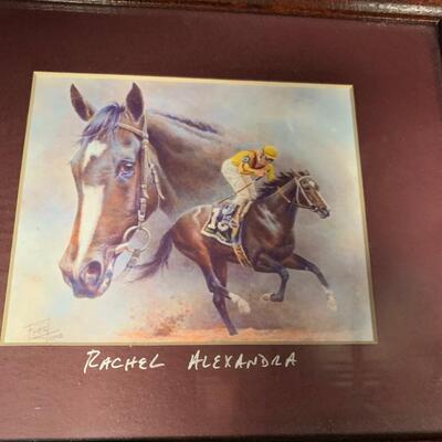 HORSE RACING PICTURES