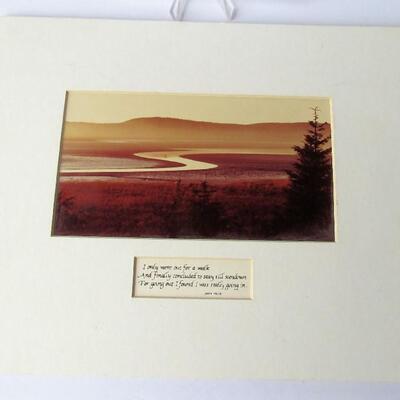Photo and Saying From John Muir