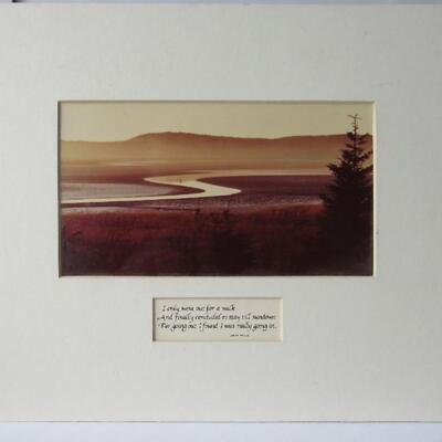 Photo and Saying From John Muir