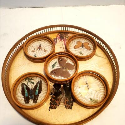 Vintage Bamboo And Butterflies Coasters And Tray Set - See Details