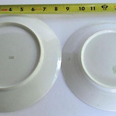 2 Pretty Antique Plates, One is RS Germany