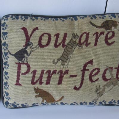 2 Small Decorative Pillows