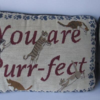 2 Small Decorative Pillows