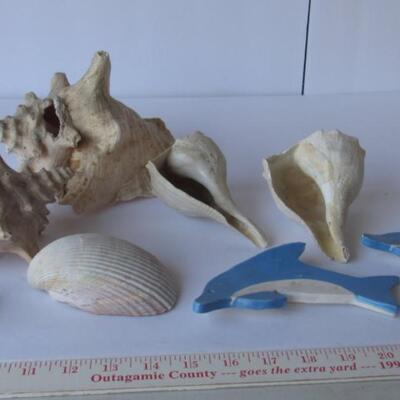Shells and Dolphins
