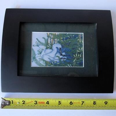 Nice Small Framed Bird Picture