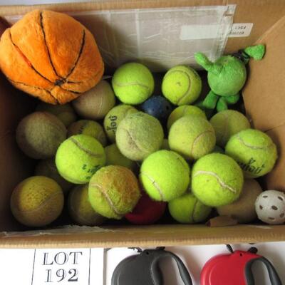 2 Dog Leashes and Box of Balls