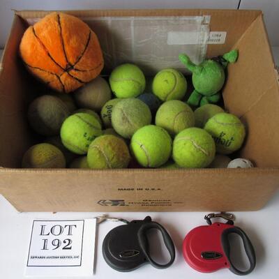 2 Dog Leashes and Box of Balls
