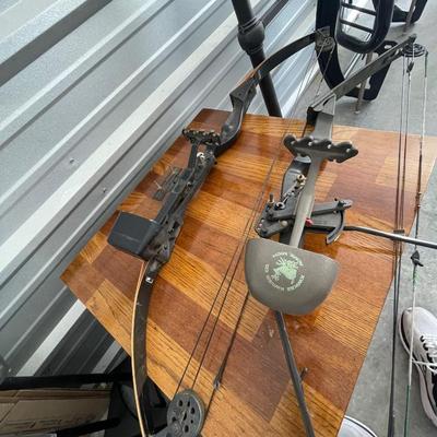 Two compound bows