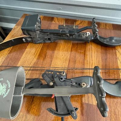 Two compound bows