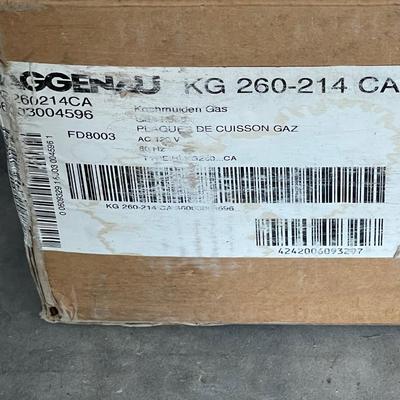 Gaggenau 24"  KG 260-214 Range / Broan 24" Range Hood - Camper or Tiny Home / kitchen
