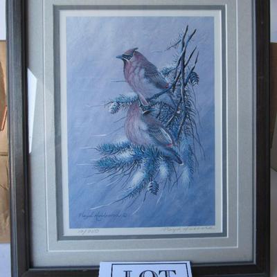 Beautiful Cedar Wax Wings Print, Artist Signed and Numbered Floyd Hubbard, 12/950, 13" x 16"