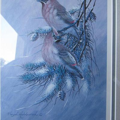 Beautiful Cedar Wax Wings Print, Artist Signed and Numbered Floyd Hubbard, 12/950, 13" x 16"