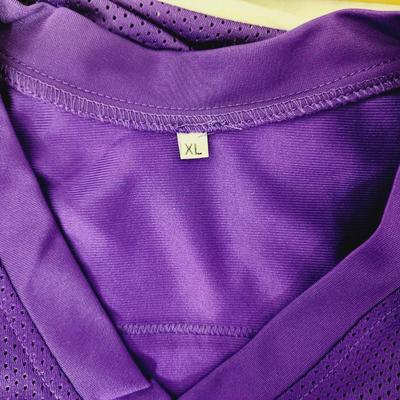 PRISTINE AUTHENTICATED CJ HAM SIGNED VIKINGS FOOTBALL JERSEY