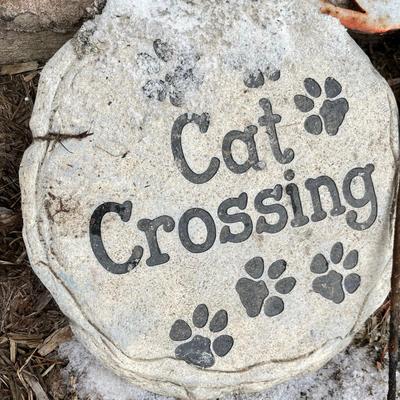 Kitty yard art