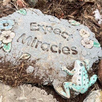 Misc Yard Art