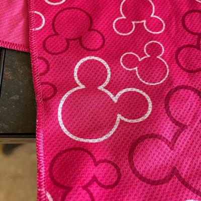 Disney lot