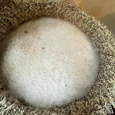 Carpeted Cat palace