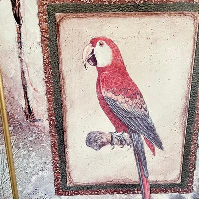 Parrot print