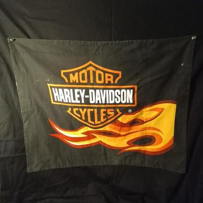 AUTHENTIC HARLEY DAVIDSON HEATED GLOVES-TSHIRT AND PILLOW SHAM