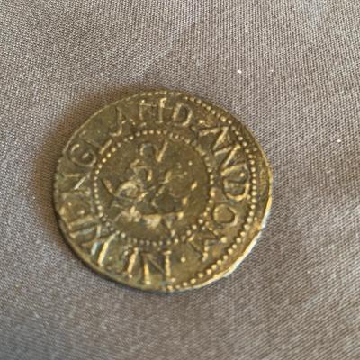 Oak Tree Shilling Coin
