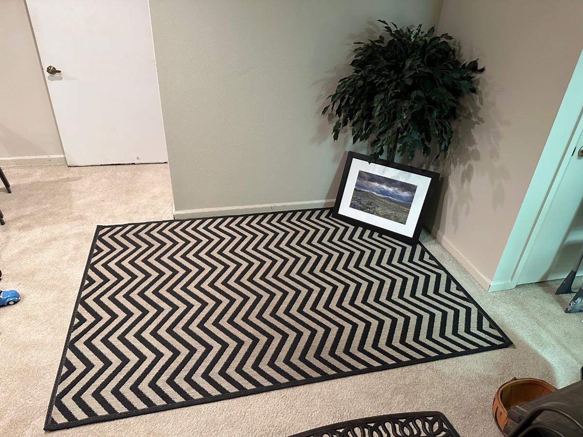AREA RUG, FAUX PLANT AND FRAMED PICTURE | EstateSales.org