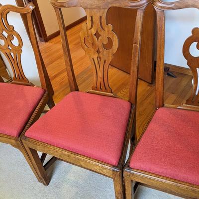 Set of 5 Chippendale Oak Antique Well Upholstered Chairs