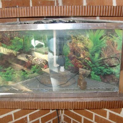 Corner Triangle Fish tank