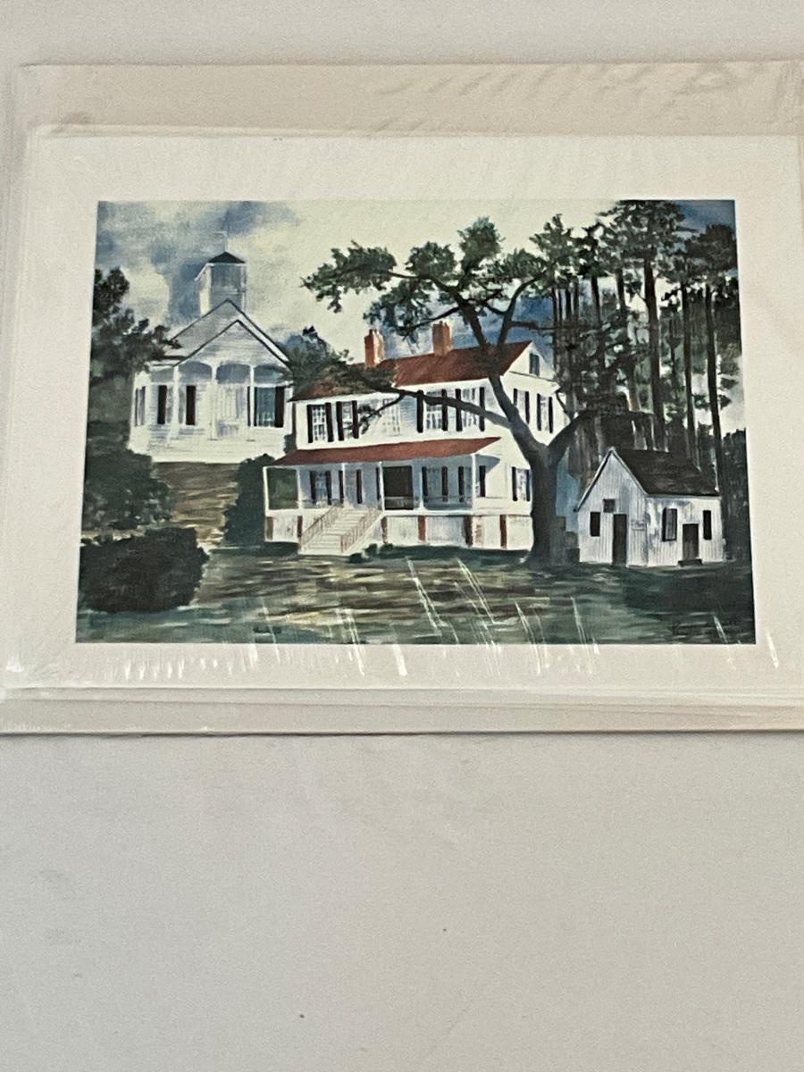 Framed Pinopolis, SC Watercolor by Irene R Simmons | EstateSales.org