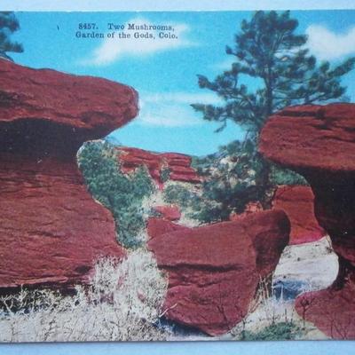 Two Mushrooms Garden Postcard