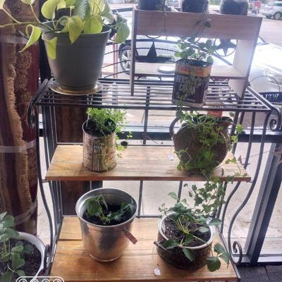 Available at Mcloud store
