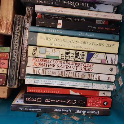 TWO BOXES OF GREAT READING