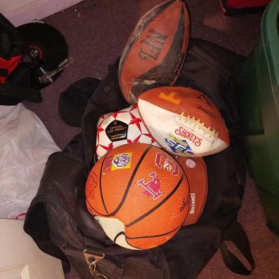 Bag of differaint sports balls
