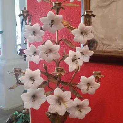 Amazing Phoenix Sale
