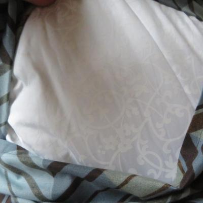 Lot of 5 Pillows