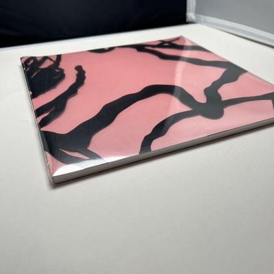 KAWS What Party Brooklyn Museum Pink Booklet Book Catalogue Print Paperback
