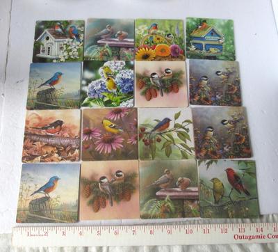 Lot of Pretty Cardboard Bird Theme Coasters